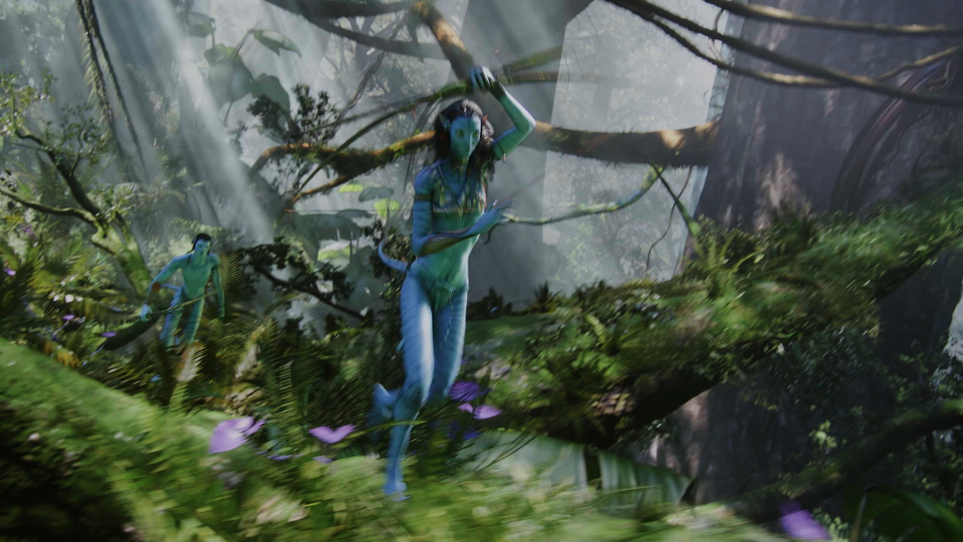 Still 2025 11 01 162926 1.2.2